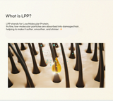 Mielle Professional Keratin LPP Pack 120mL