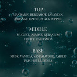 Mielle Black Iron Pomade Wax 150g