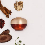 MISSHA Chogongjin Sosaeng Jin Cream - 60ml