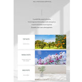 Mielle Professional Marry Me Oil Mist 120ml