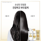 PANTENEKeratin Severe Damage Care Shampoo 1200ml,Conditioner 1200ml,Treatment 220ml