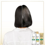 PANTENECollagen Extra Volume Care Shampoo 750ml,Conditioner 750ml,Treatment 750ml