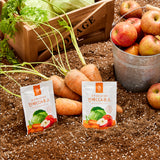 Made in South Korea, Whole Grind CCA Juice 100ml x 10packs (No Box)